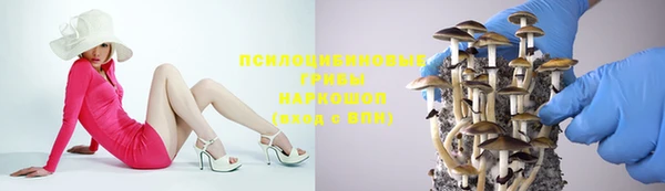 мдма Заводоуковск