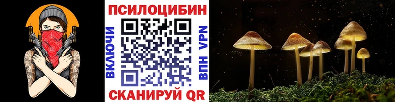 Галлюциногенные грибы MAGIC MUSHROOMS  Купить  Сухой Лог 